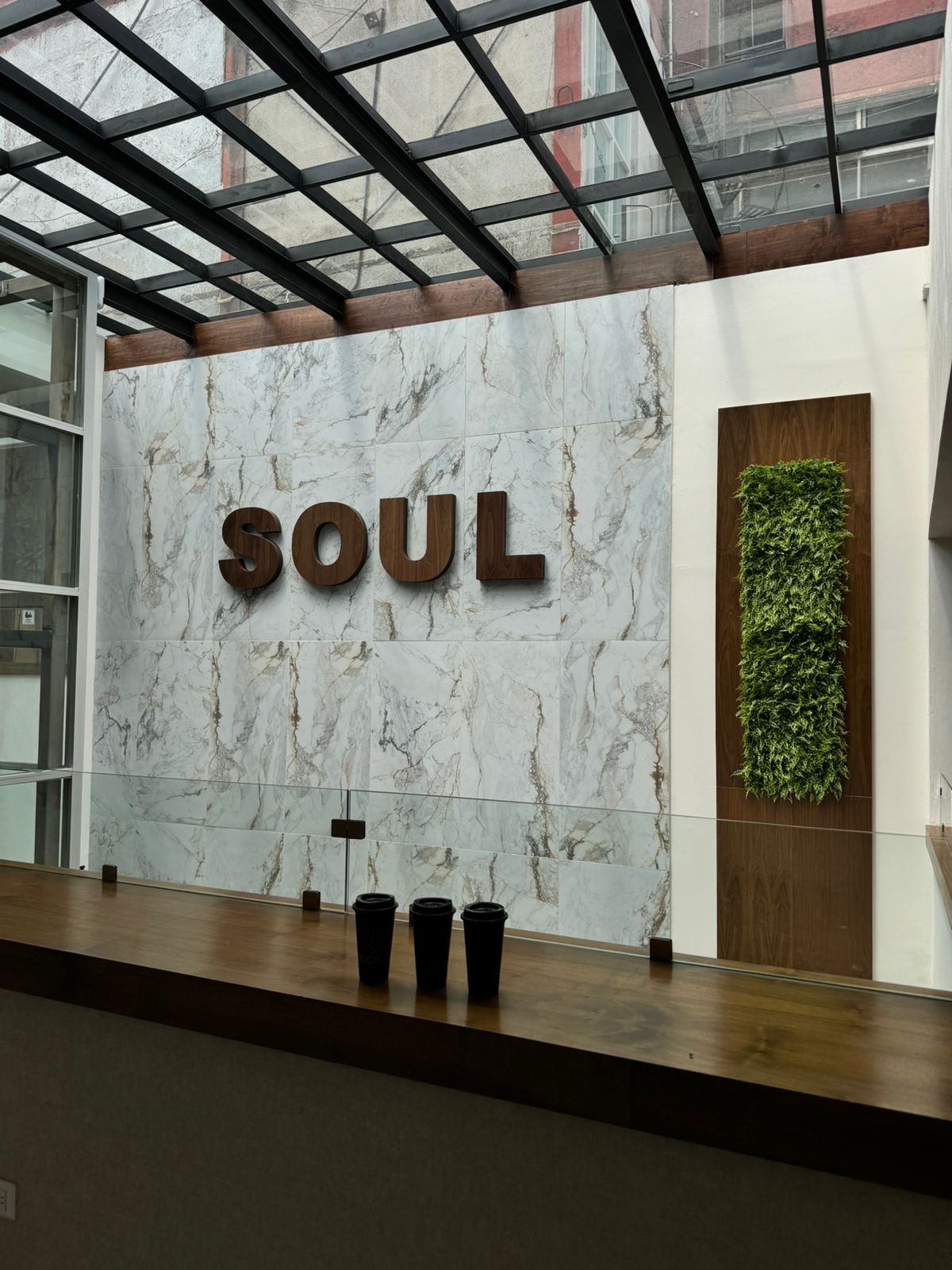 SOUL REFORMA